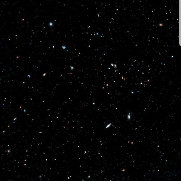 Meet your Posher, Chris - Picture 4 of 8